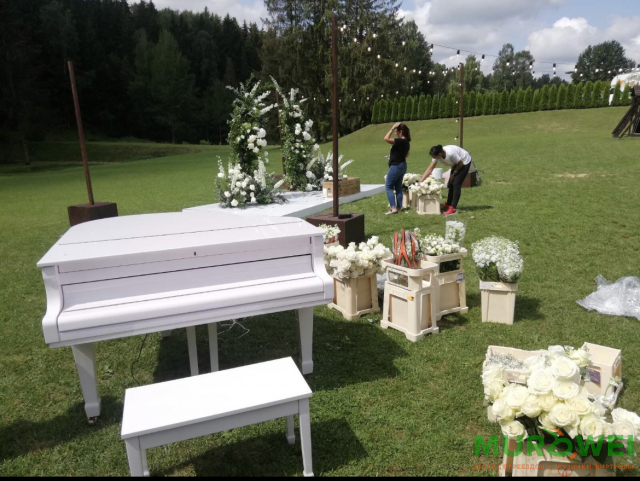 Transport fortepianu na ślub