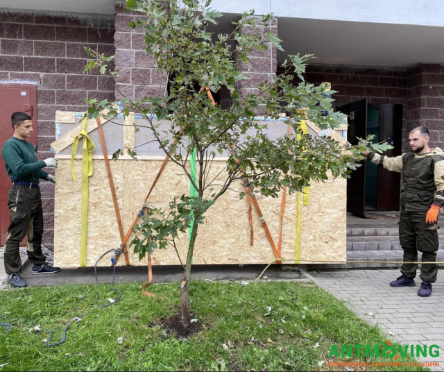 Wspinaczki przemysłowe jako sposób podniesienia większej płytki zewnętrznej metodą zewnętrzną.