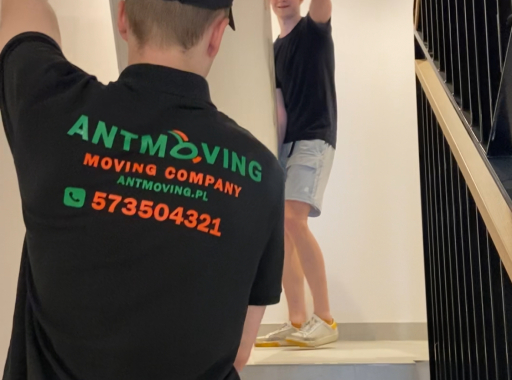 WSZYSTKIE PROBLEMY ZNIKNA, KIEDY POJAWI SIĘ ZESPÓŁ ANTMOVING